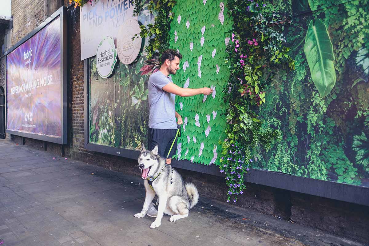 Herbal Essences đã gây ấn tượng mạnh tại London với chiến dịch quảng cáo ngoài trời độc đáo: Billboard “trồng hoa” vì môi trường