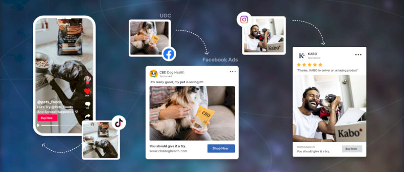 Social Media Ads giúp doanh nghiệp tiếp cận khách hàng trên Facebook, TikTok, Instagram và nhiều kênh khác.