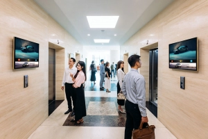 chicilon-mua-lai-co-phan-quyèn-chọn-nam-2015-voi-gia-gap-10-lan