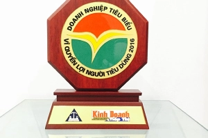 giai-thuong-doanh-nghiep-tieu-bieu-vi-quyen-loi-nguoi-tieu-dung-nam-2016