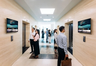 chicilon-mua-lai-co-phan-quyèn-chọn-nam-2015-voi-gia-gap-10-lan